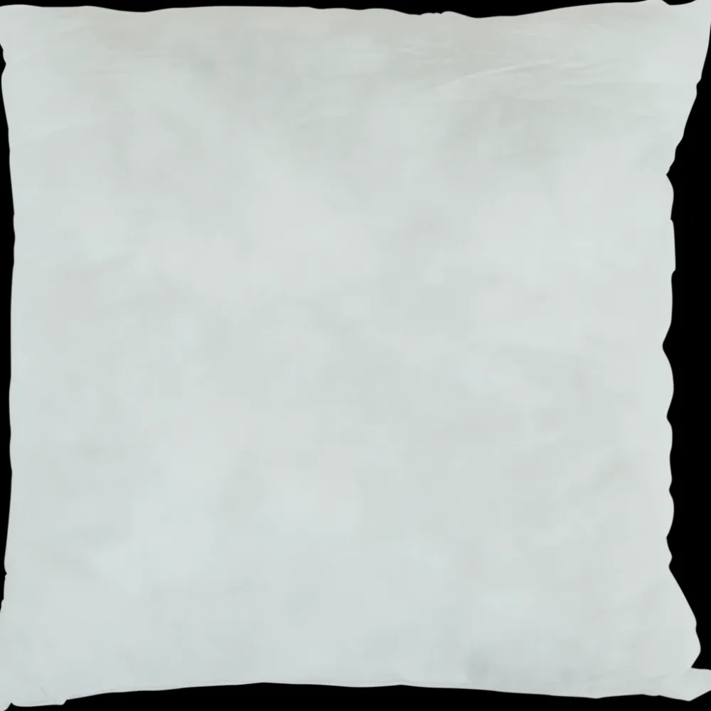 Binnenkussen 40 x 40 cm Wit | Action NL