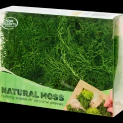 Decoratief mos | Action NL Online