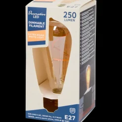 Eurodomest led lamp 4.9 watt 250 lm | Action NL New