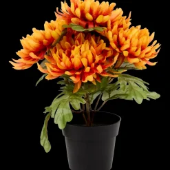 Excellent Flowers chrysant in pot | Action NL Outlet