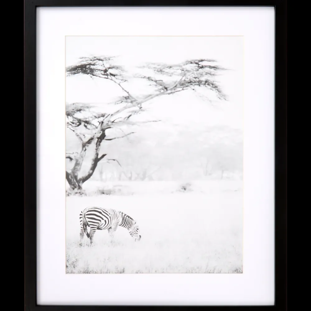 Fotolijst Texas 40 x 50 cm | Action NL