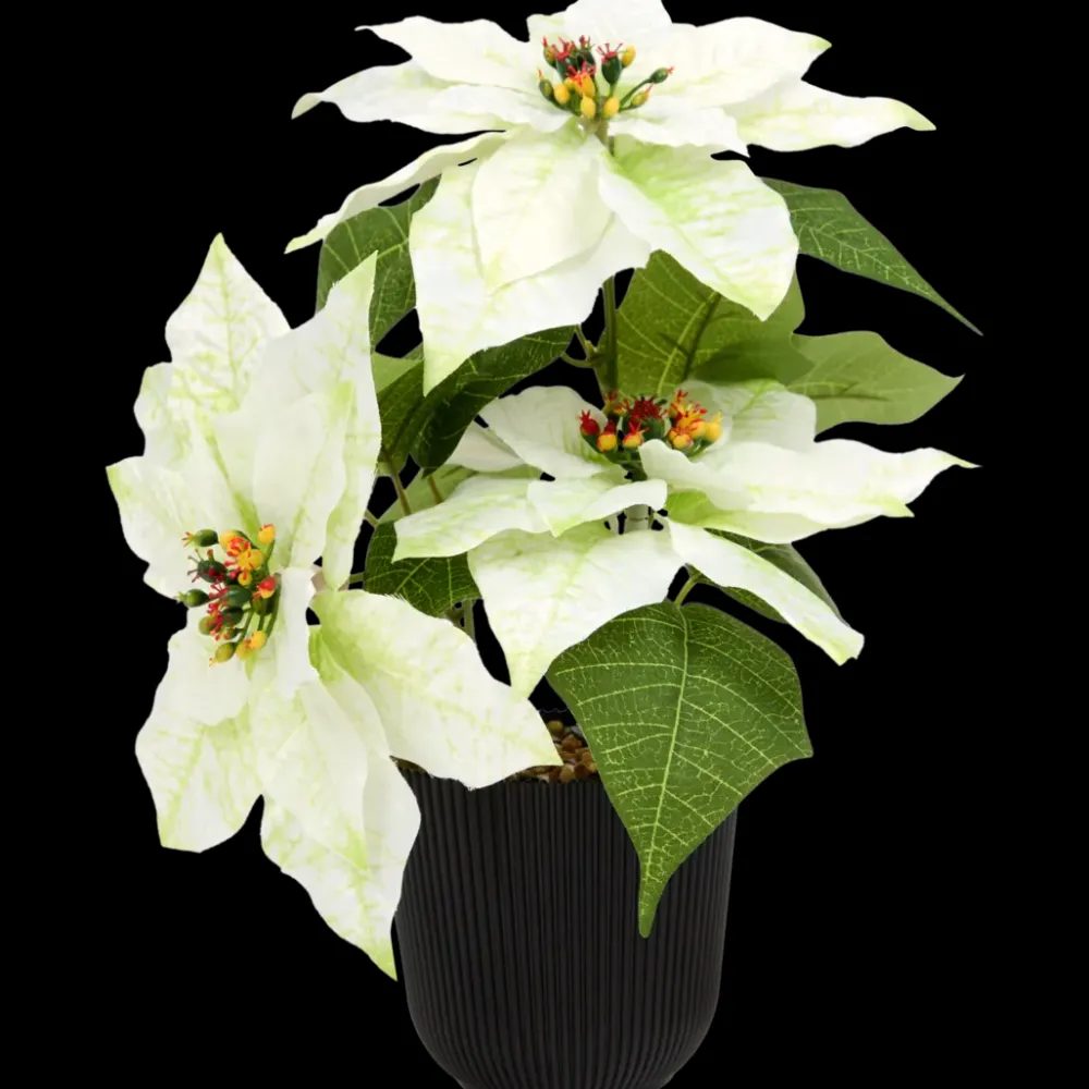 Home Accents kunst-kerstster | Action NL Clearance