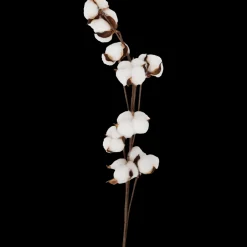 Katoentak | Action NL Best