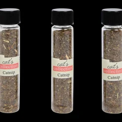 Kattenkruid | Action NL New