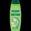 Palmolive shampoo Silky Shine Effect | Action NL Discount