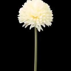 The Hamptons Collections HOME bolchrysant op steel | Action NL