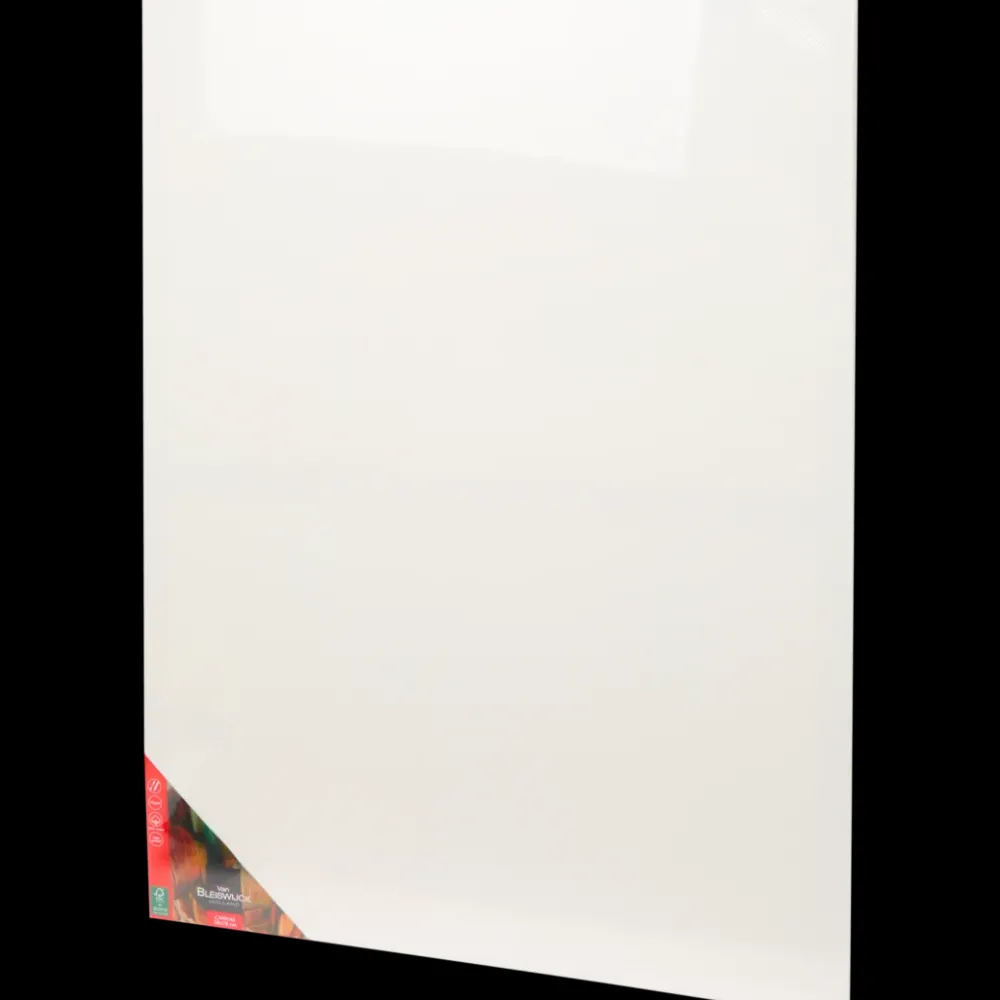 Van Bleiswijck canvas | Action NL Hot