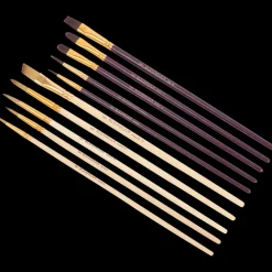 Van Bleiswijck penselenset | Action NL Clearance