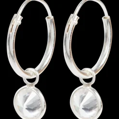 Zilveren oorbellen | Action NL